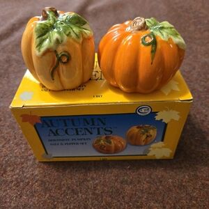 New Autumn Accents Salt And Pepper Shaker Set